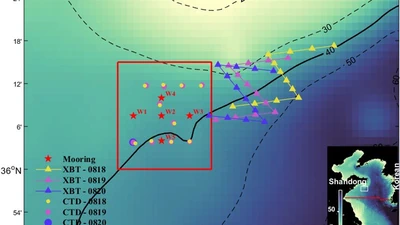 Improving the Thermal Structure Predictions in the Yellow Sea by Conducting Targeted Observations in the CNOP-identified Sensitive Areas featured image