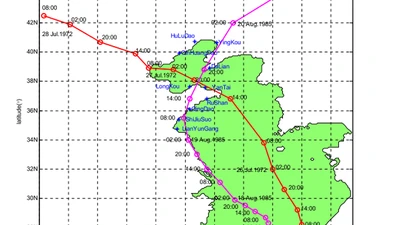 Inversion of Wind-Stress Drag Coefficient in Simulating Storm Surges by Means of Regularization Technique featured image