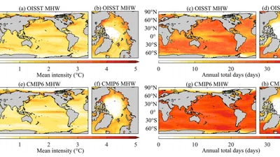 Arctic Amplification of Marine Heatwaves under Global Warming featured image