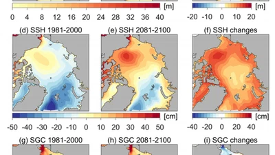 Dominant Inflation of the Arctic Ocean’s Beaufort Gyre in a Warming Climate featured image