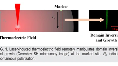 Manipulation of ferroelectric domain inversion and growth by optically induced 3D thermoelectric field in lithium niobate featured image