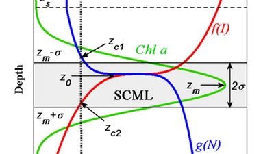 Steady-State Solutions for Subsurface Chlorophyll Maximum in Stratified Water Columns with a Bell-Shaped Vertical Profile of Chlorophyll featured image