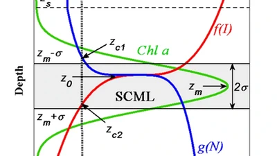 Steady-State Solutions for Subsurface Chlorophyll Maximum in Stratified Water Columns with a Bell-Shaped Vertical Profile of Chlorophyll featured image