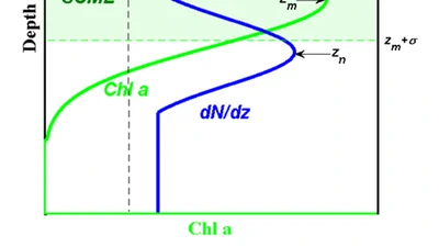 Analytical Solution of the Nitracline with the Evolution of Subsurface Chlorophyll Maximum in Stratified Water Columns featured image