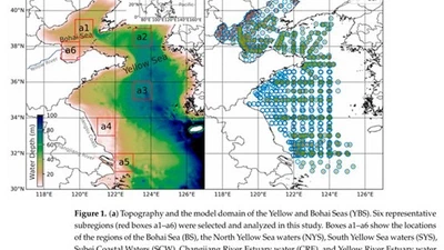 Reconstruction of Monthly Surface Nutrient Concentrations in the Yellow and Bohai Seas from 2003–2019 Using Machine Learning featured image