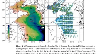 Reconstruction of Monthly Surface Nutrient Concentrations in the Yellow and Bohai Seas from 2003–2019 Using Machine Learning featured image
