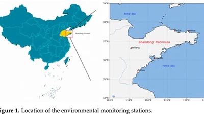 Deep Sequence Learning for Prediction of Daily NO2 Concentration in Coastal Cities of Northern China featured image