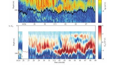 Persistent Mixing Bursts in the Equatorial Pacific Thermocline Induced by Persistent Equatorial Waves featured image