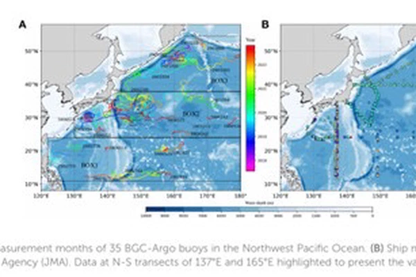 Evolution of 3-D Chlorophyll in the Northwestern Pacific Ocean Using a Gaussian-activation Deep Neural Network Model