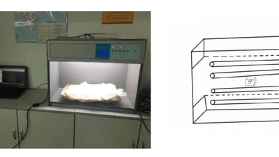 Cotton Appearance Grade Classification Based on Machine Learning featured image
